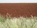 images/resized/images/phocagallery/img_tierra_almagre_75_57.jpg