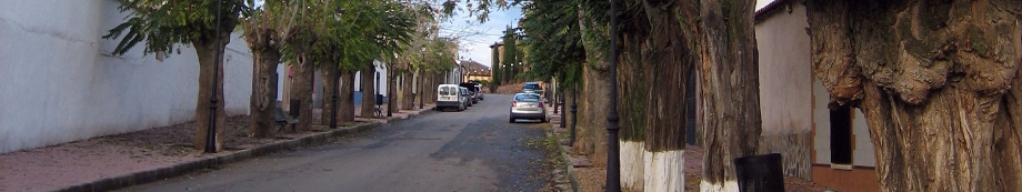 imagen1.jpg