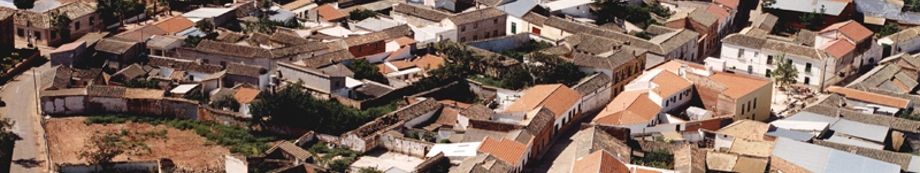 imagen4.jpg